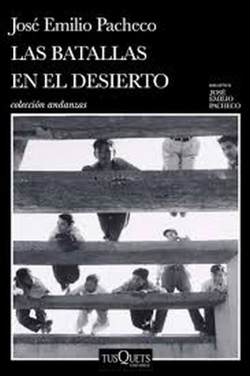 LAS BATALLAS EN EL DESIERTO