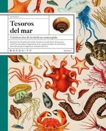 TESOROS DEL MAR - Celebración de la belleza sumergida