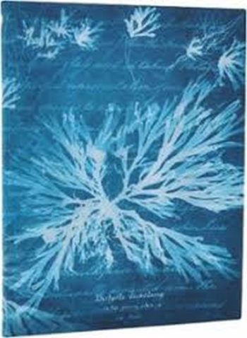 LIBRETA FLORES MARINAS ULTRA RENGLONES