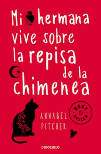 MI HERMANA VIVE SOBRE LA REPISA DE LA CHIMENEA