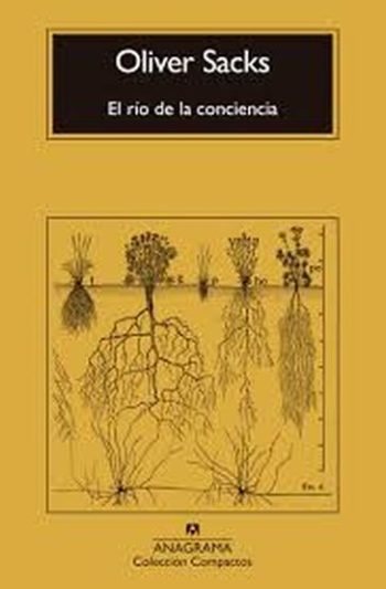 EL RIO DE LA CONCIENCIA
