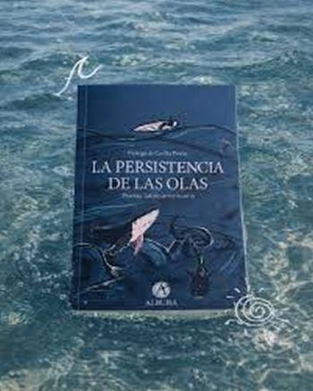 LA PERSISTENCIA DE LAS OLAS