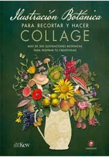 ILUSTRACIONES DE BOTÁNICA PARA RECORTAR Y HACER COLLAGE